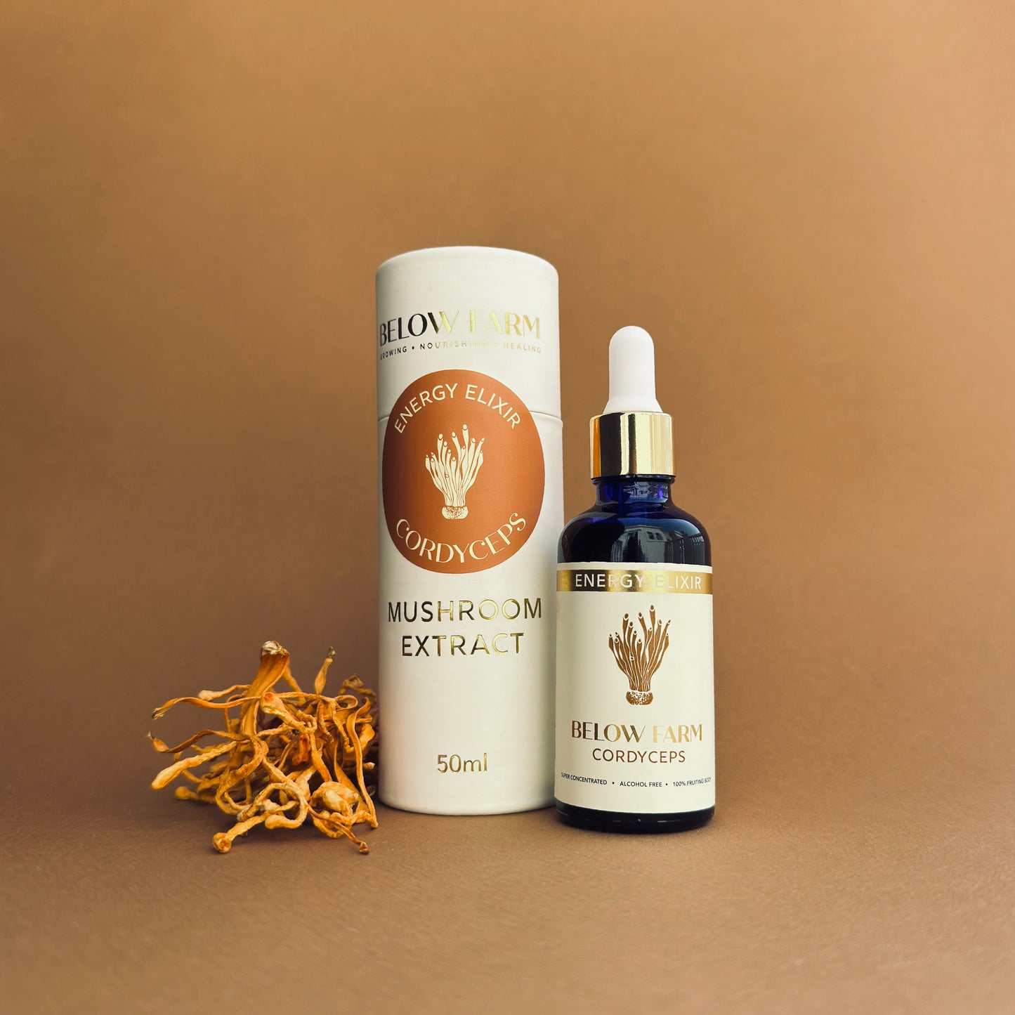 Cordyceps Extract
