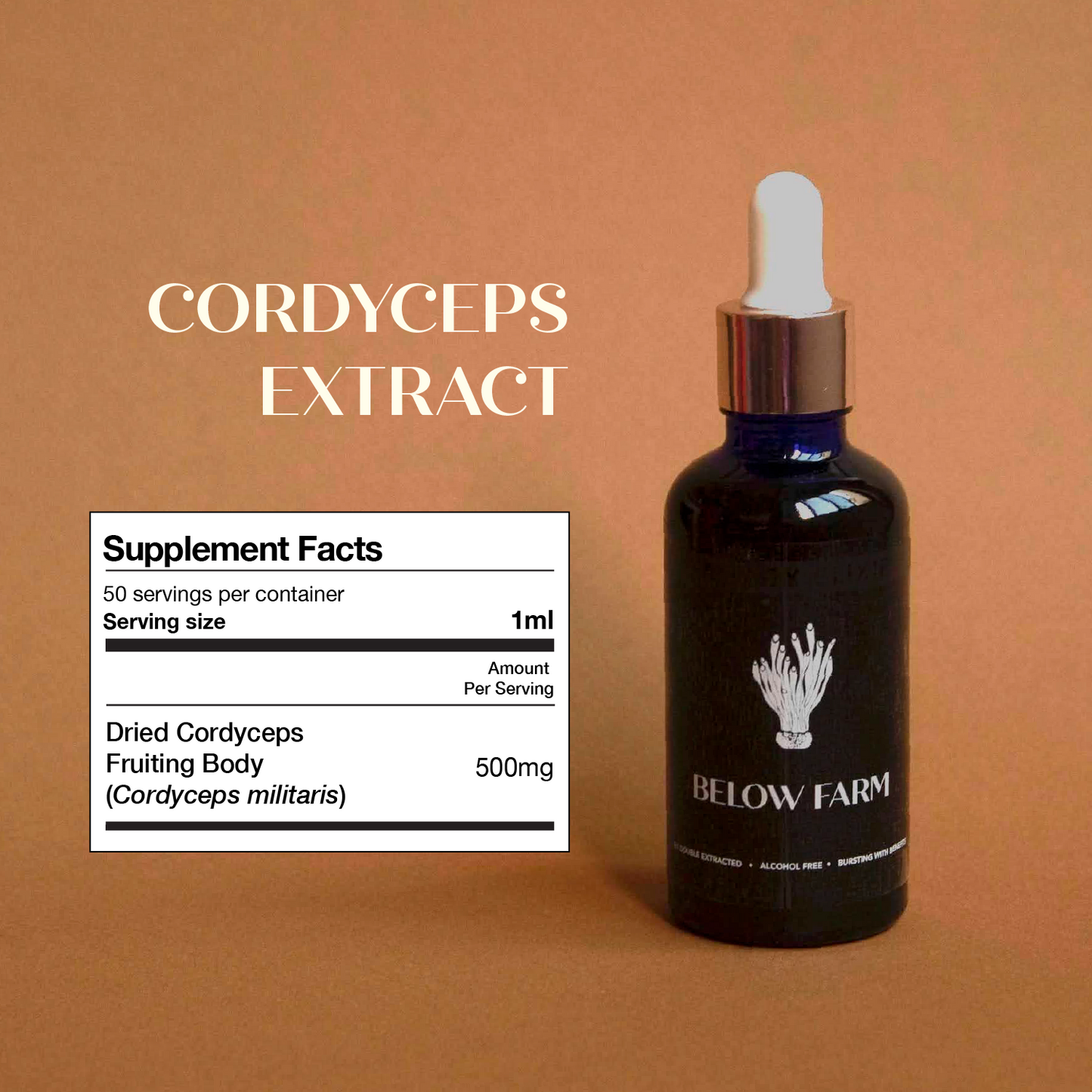 Cordyceps Extract