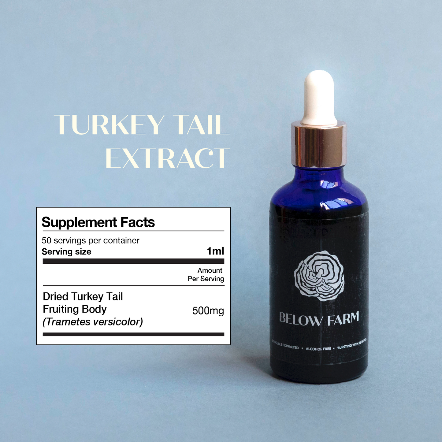 Turkey Tail Extract