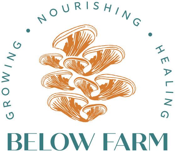 Below Farm
