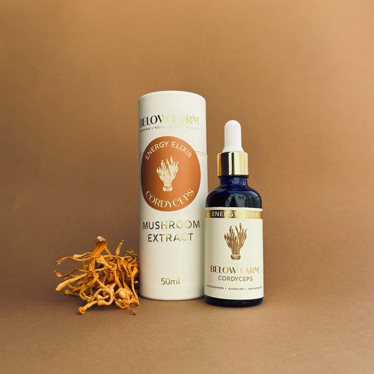 Cordyceps Extract