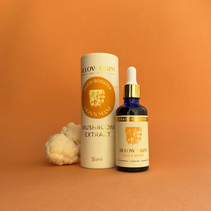 Lion's Mane Extract