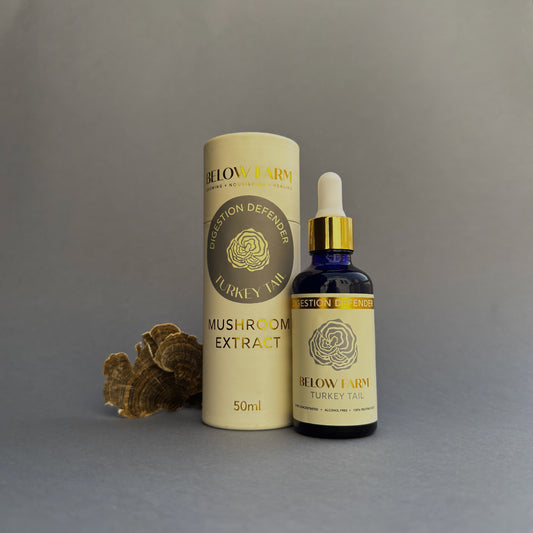 Turkey Tail Extract