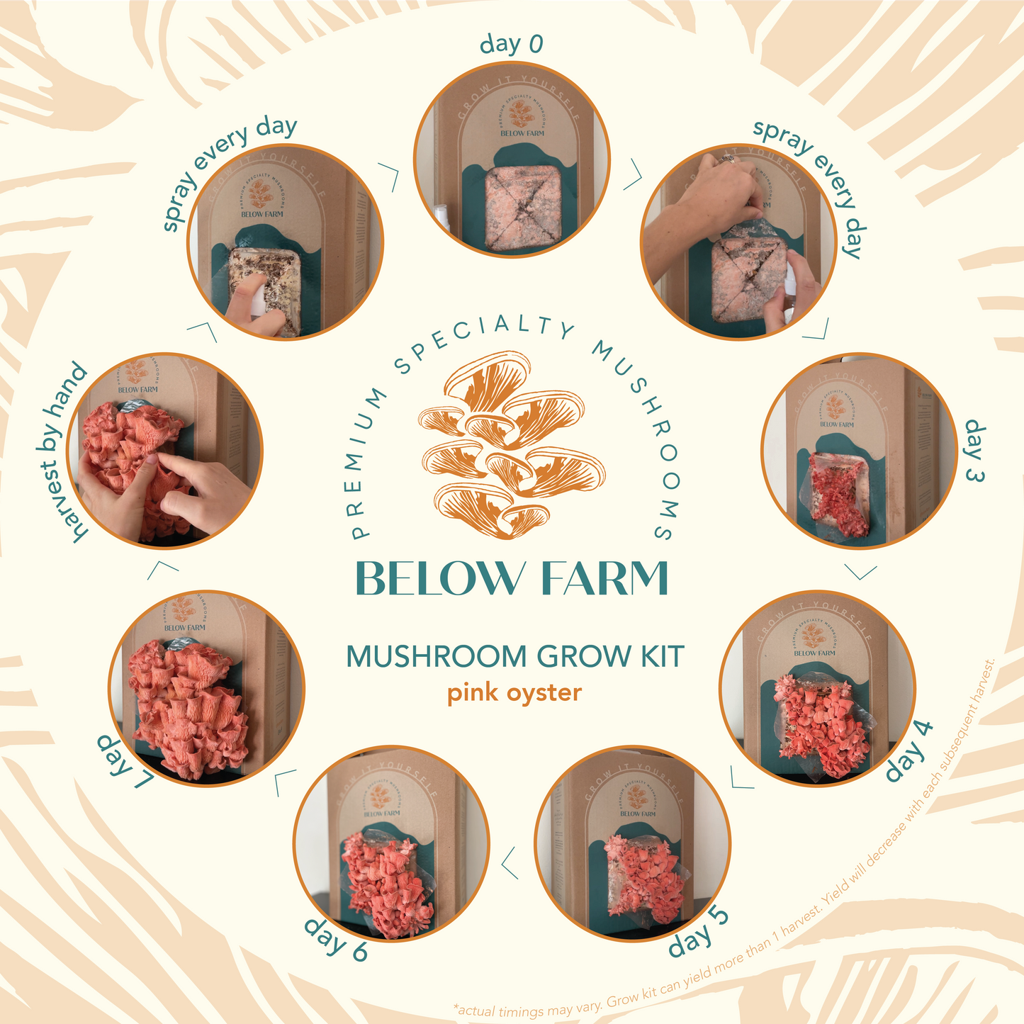 Home Grow Kit