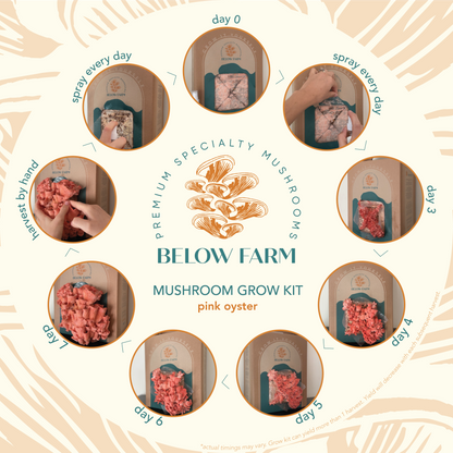 Home Grow Kit