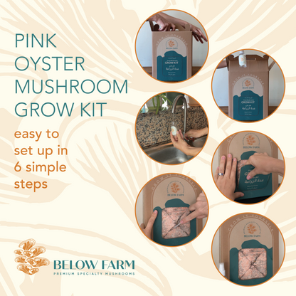 Home Grow Kit