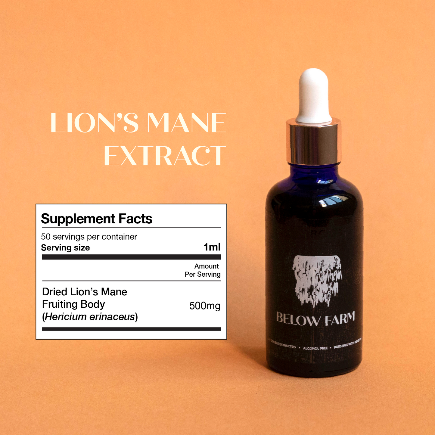 Lion's Mane Extract