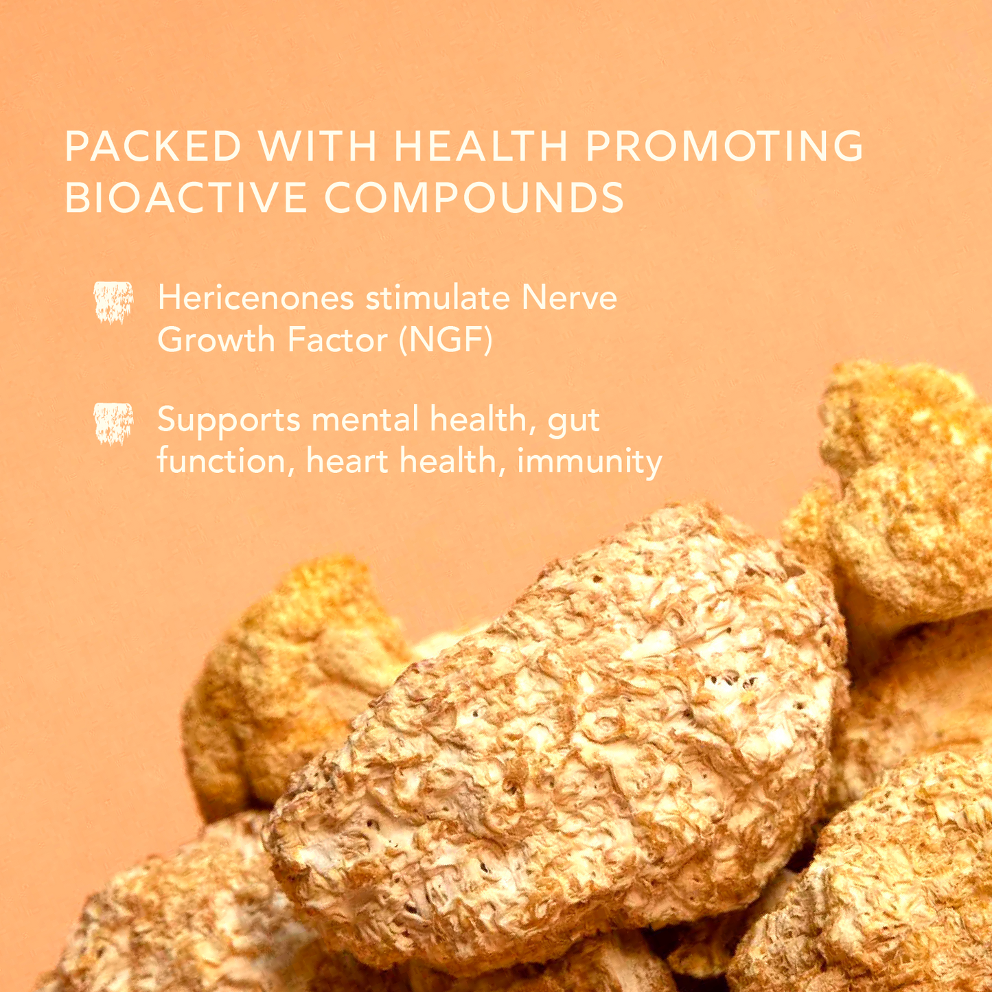 Lion's Mane Extract