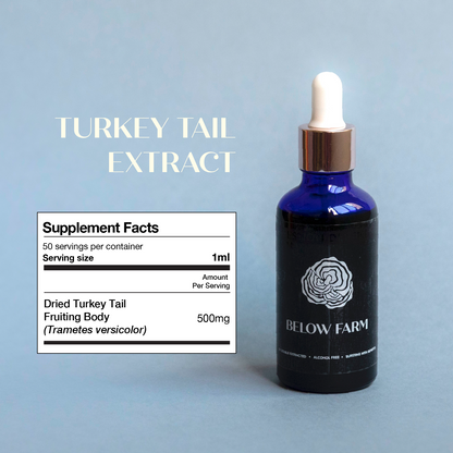 Turkey Tail Extract