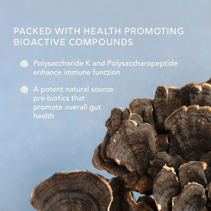 Turkey Tail Extract