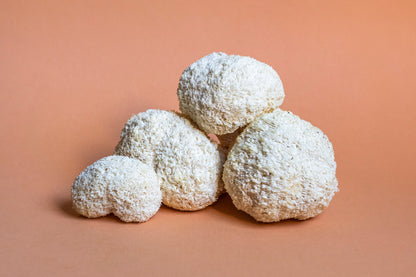 Lion's Mane Powder